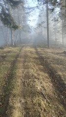 IMG 20201220 144622